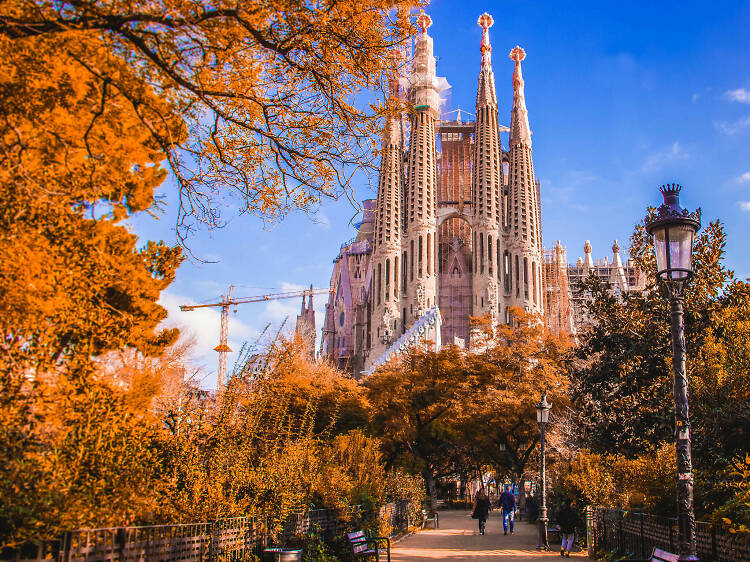 Barcelona is Spain’s second-largest city in spain and a true Mediterranean gem. Famous for its stunning architecture by Antoni Gaudí, including the iconic Sagrada Família and Park Güell, Barcelona is a city where culture, history, and the beach combine harmoniously.