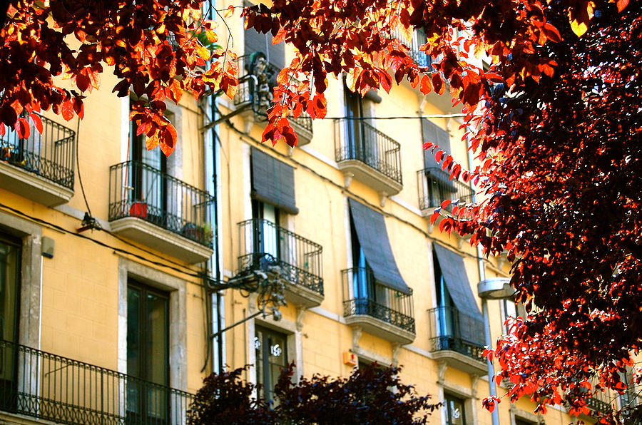 Autumn is another fantastic time to visit Spain, especially for those looking to avoid the intense summer heat and crowds. The weather is still warm, ranging from 20°C to 30°C (68°F to 86°F), and the landscapes are painted in beautiful autumnal hues.